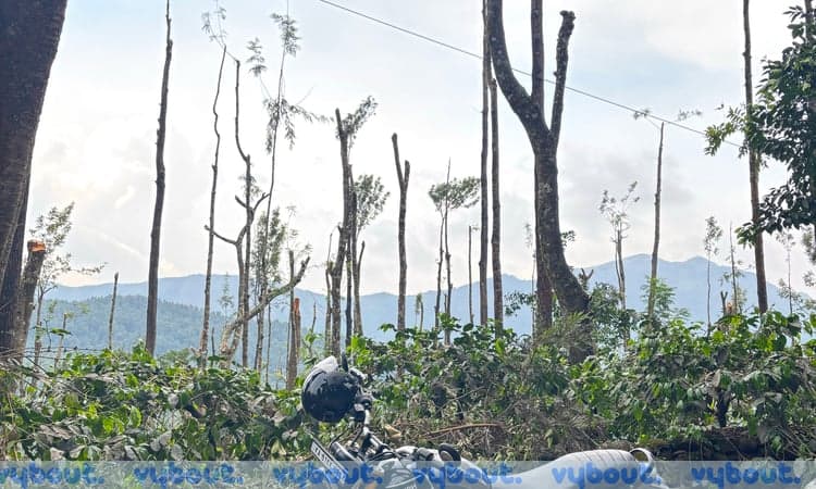 Lake sunrise view bike ride to Muddenahalli