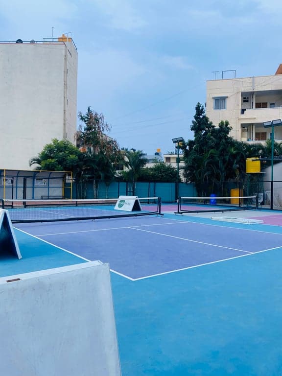 Pickle Ball with Anjali